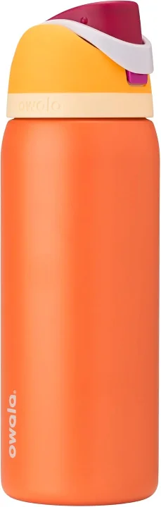 Insulated Water Bottle reward image